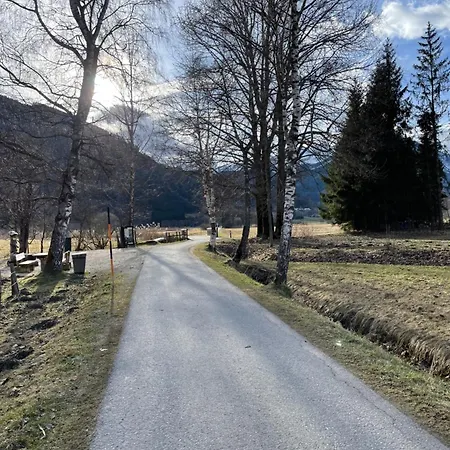 Liesl - Zell Am Daire