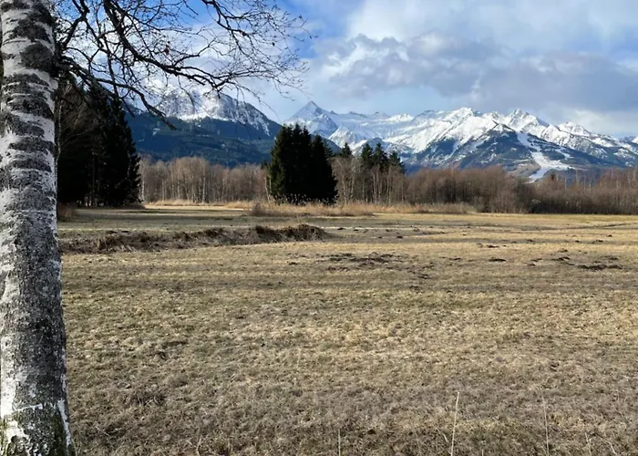 Liesl - Zell Am Appartement