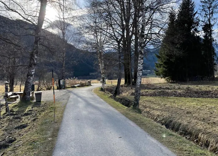 Liesl - Zell Am Appartement