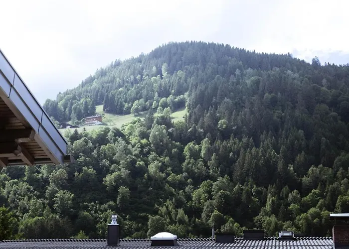 Liesl - Zell Am Apartment